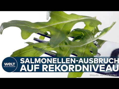 DEUTSCHLAND: Salmonellen-Schock! RKI meldet - Rucola aus Italien vergiftet Dutzende in Deutschland!