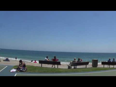 laguna beach pelicans g d made laguna on the 7th day they say vid by sherm