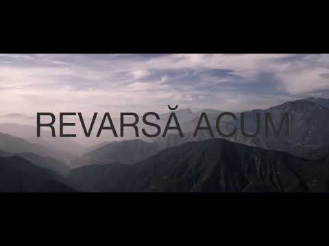 Denis Pantea - Victorios