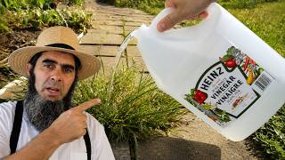7 Surprising Ways Vinegar Can Transform Your Garden