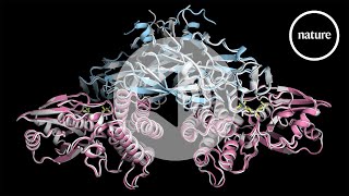 Alphafold 3.0: the AI protein predictor gets an upgrade