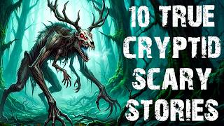 10 True Disturbing Cryptid & Skinwalker Scary Stories | Real Horror Stories To Fall Asleep To