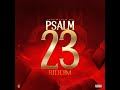 Psalm 23 Riddim Mix 2022 Shane O Deep Jahi Fresh King