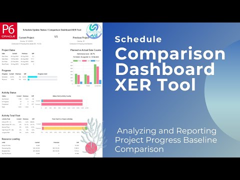 Convert Primavera P6 Schedule to Excel Timeline Project Plan in Excel with Gantt Chart from P6