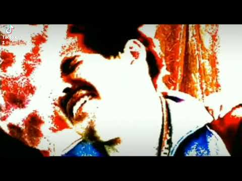 Royal Gigolos  Califórnia Dreaming Sylver DJ Video Mix