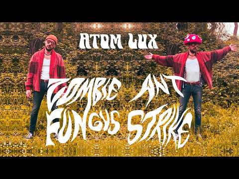 video frame placeholder