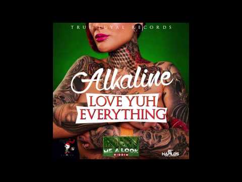 Alkaline - On Fleek (Love Yuh Everything) (Clean) (Official Audio) | Dancehall 2015 | 21st Hapilos