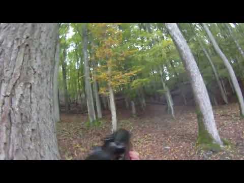 Sauen Doublette auf Drückjagd, Sauer 80 in 30-06, Hornady SST, Zeiss Victory 3-12x56