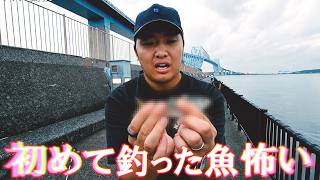 マグロ釣りに行くも予想外の魚が釣れてビビる【がーどまん】