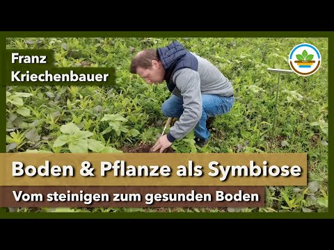 Vom steinigen zum gesunden Boden: Franz Kriechenbauer über Boden & Pflanze als Symbiose