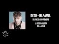 DESH - HARAMIA (slowed and reverb)