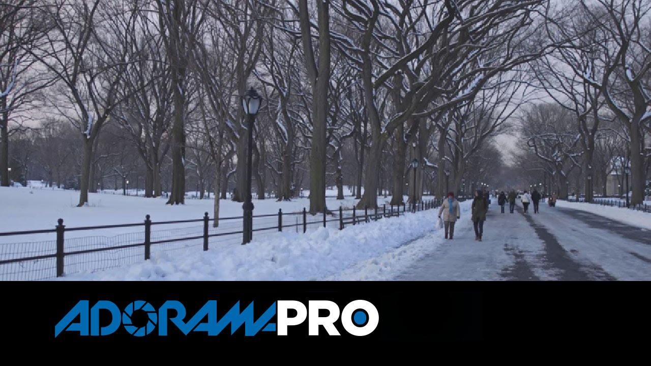 Видеокамера Canon EOS C100 Mark II