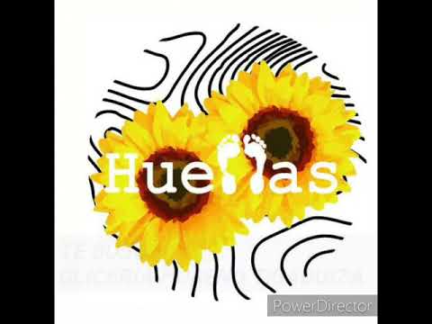 Te Busco - Chayo