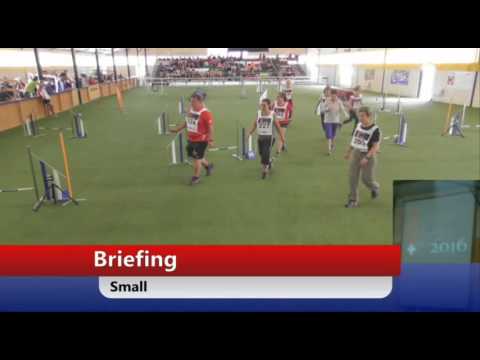 Agility SM 2016 Final