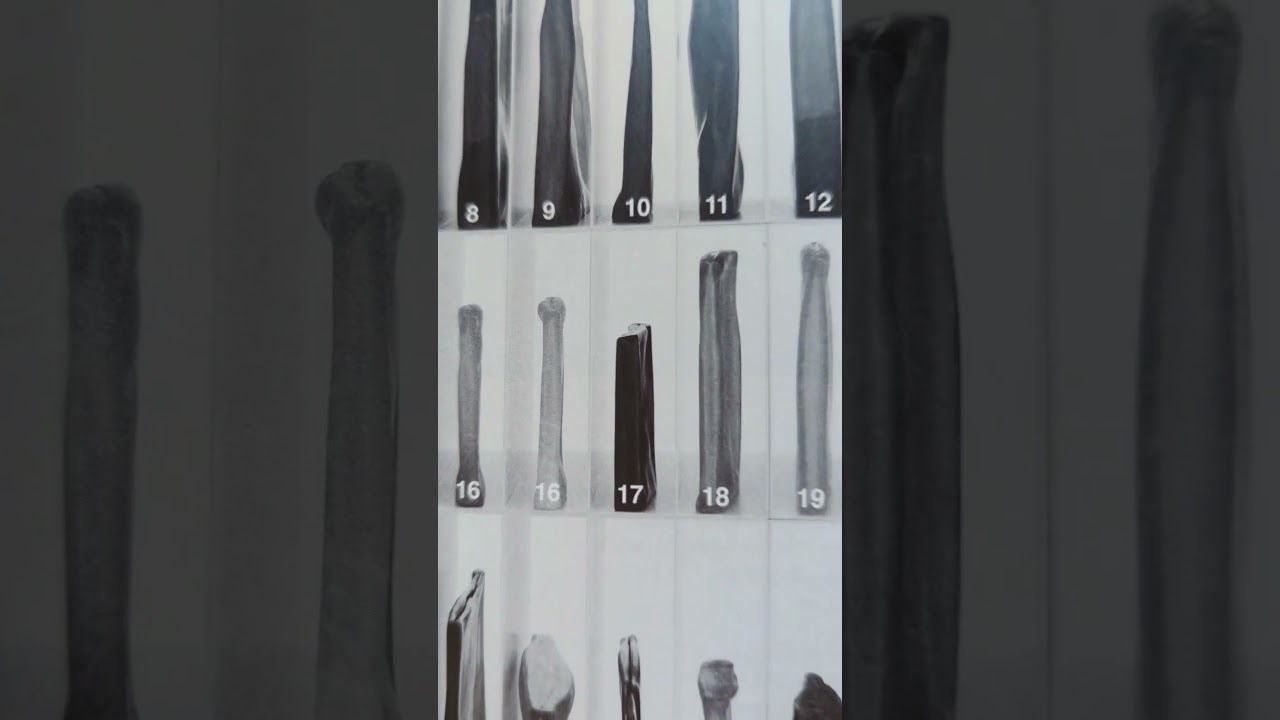 Catalogo mostra I Santillana