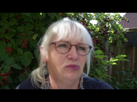 Vrijheid, vreugde en vrede