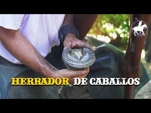 Lo que nadie ve detrás del herraje | Martín Fattore Navas #polo