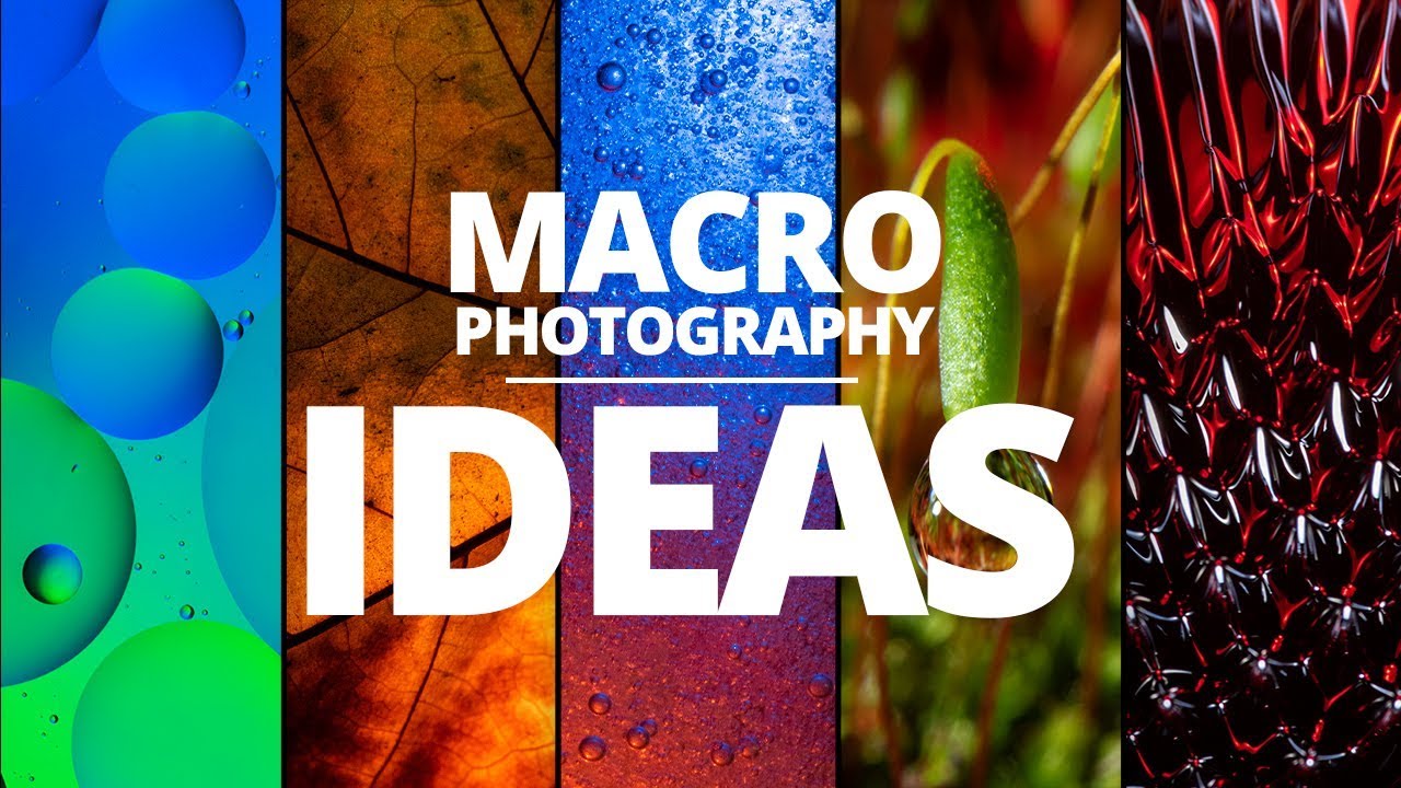 5 macro photography ideas you can try at home
