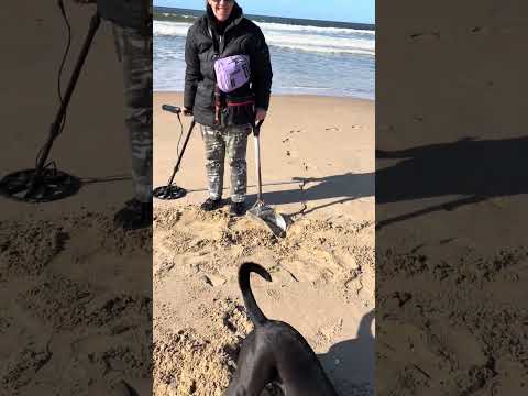 Mi perro Oreo en la Pedrera Rocha Uruguay