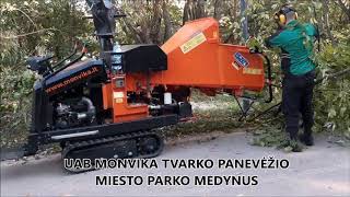 Broyeur de branches JBM 421 mx | Image 4 - Agroline