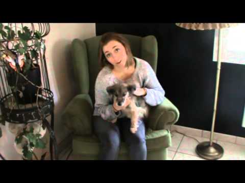 French Au Pair, Marie, 20 - EurAupair Video Profile