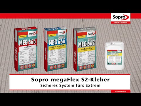 Sopro megaFlex S2-System