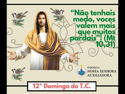 12º Domingo do Tempo Comum - Homilia