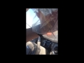 Family Finds Insect Nest In Car