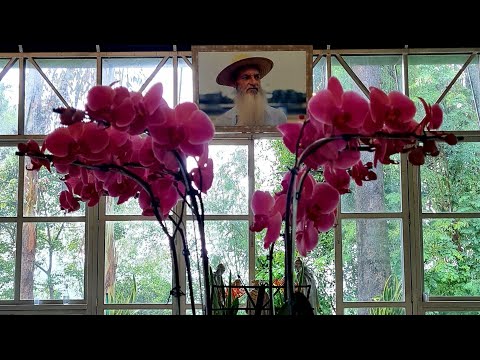 Dia de Reis - Hino 110 De Longe - Hinário Mestre Irineu