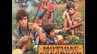 The Motions Wasted Words