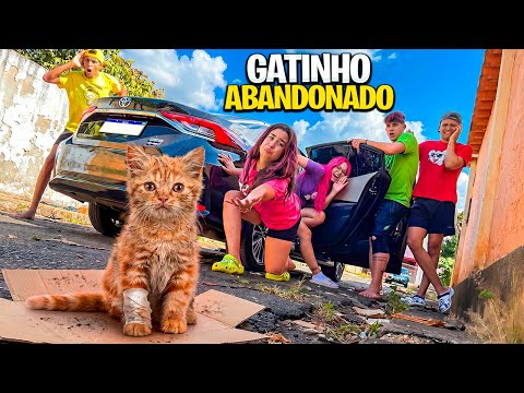 ENCONTRAMOS UM FILHOTE DE GATO ABANDONADO *Adotamos ele ?