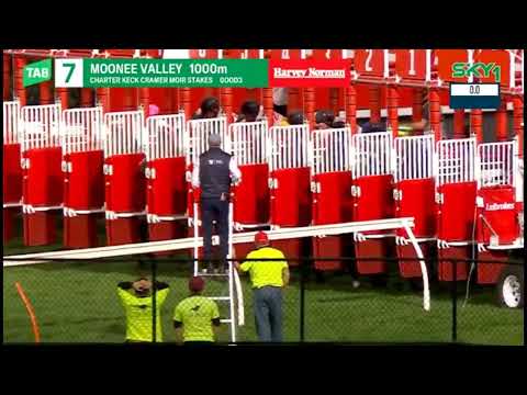 2023 MVRC MOONEE VALLEY Moir Stakes