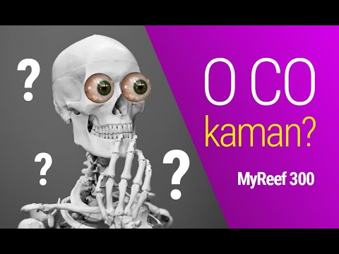 (159) MyReef 300 / O co kaman? - Akwarium morskie - Reef aquarium