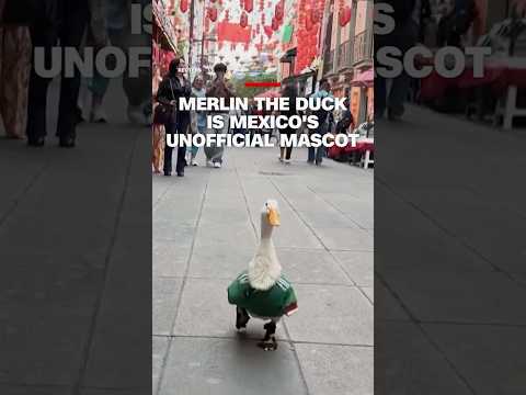Merlin The Duck is Mexico's unofficial mascot
