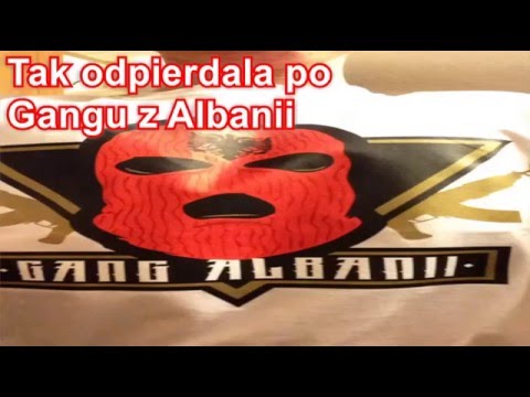 Impact of Gang Albanii