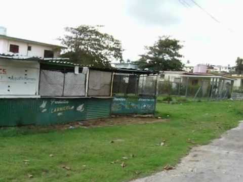 Прогулка из Тропикоко в Гуанабо