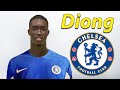 Pape Daouda Diong ● Welcome to Chelsea 🔵🇸🇳 Best Skills, Tackles & Passes
