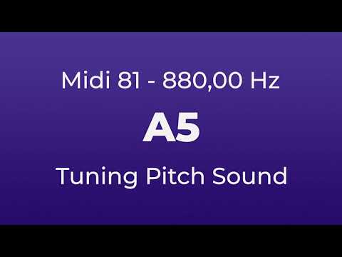 A5 Tuning Pitch | 880,00 Hz | Midi Key 81