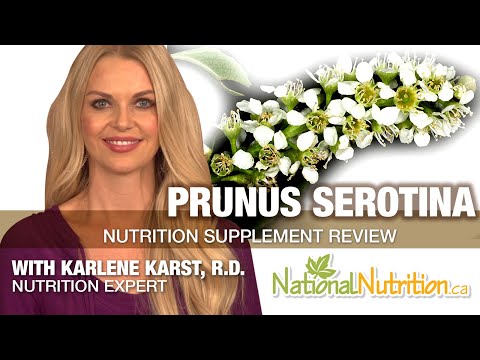 Prunus Serotina Extract Powder