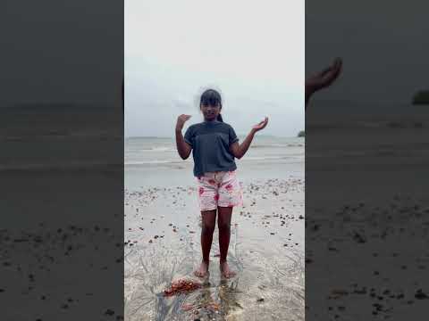 by Shrinidhi 😘#shorts #jisoo #flower