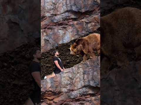 Trapped in a cave with a bear