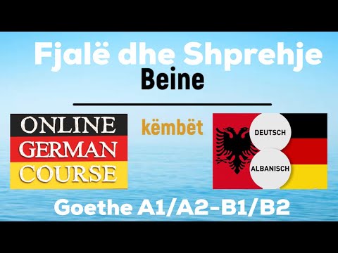 Goethe A1 I A2 I B1 I B2 // Fjalë e Shprehje I Bashkim Familjar // KRANKENPFLEGE