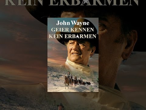 Geier kennen kein Erbarmen