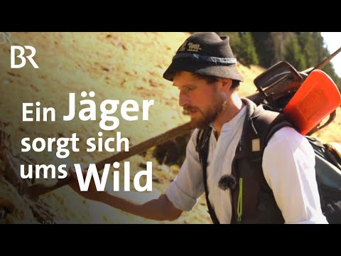 Hege fürs Bergwild: Unterwegs mit einem Jäger in den Bergen  | Schwaben + Altbayern | BR