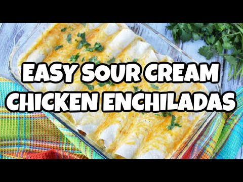 The Best Sour Cream Chicken Enchiladas