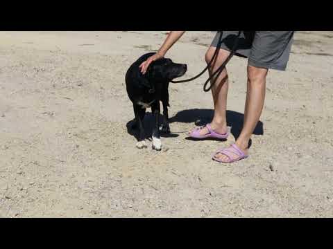 Vídeo de ANTONIETTE
