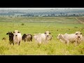 Curso Administração da Pequena Empresa Rural