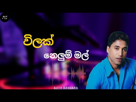 Vilak Nelum Mal | විලක් නෙලුම් මල් | Ajith Bandara | sinhalasongs