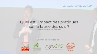 Impact des pratiques sur la faune des sols ? par Marc-André Sélosse