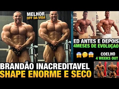 BRANDÃO MOSTRA SHAPE ATUAL ABSURDO E ASSUSTA GERAL COM SUA CONDIÇÃO + EDVAN, ERIC E LUCAS COELHO